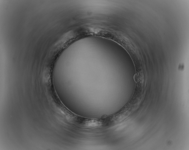 X0000094460754200711151449