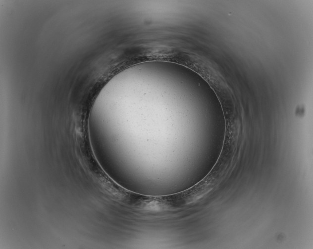 X0000094460755200711151449