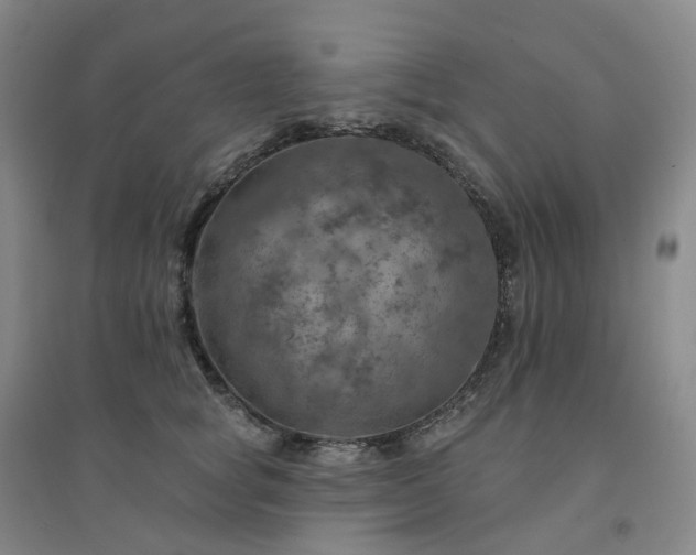 X0000094460757200711151449