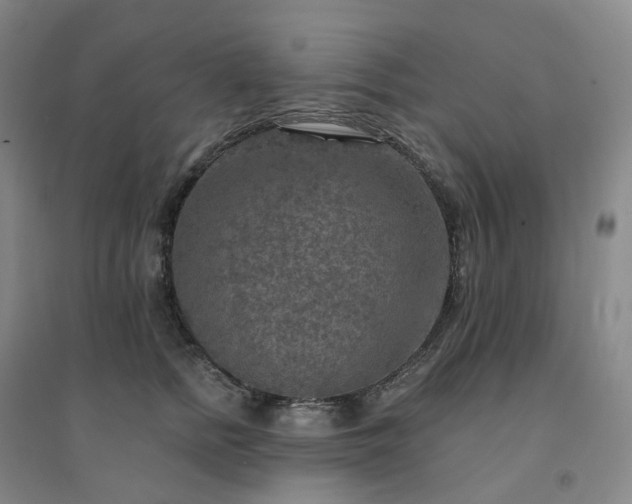 X0000094460758200711151450