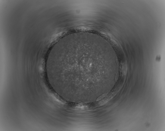 X0000094460760200711151450