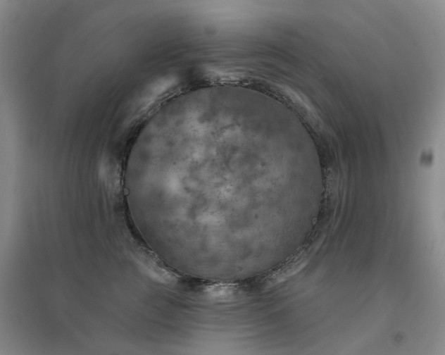 X0000094460761200711151450