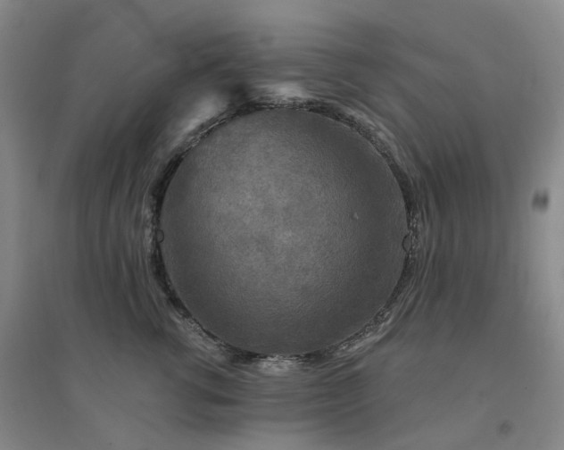 X0000094460762200711151450