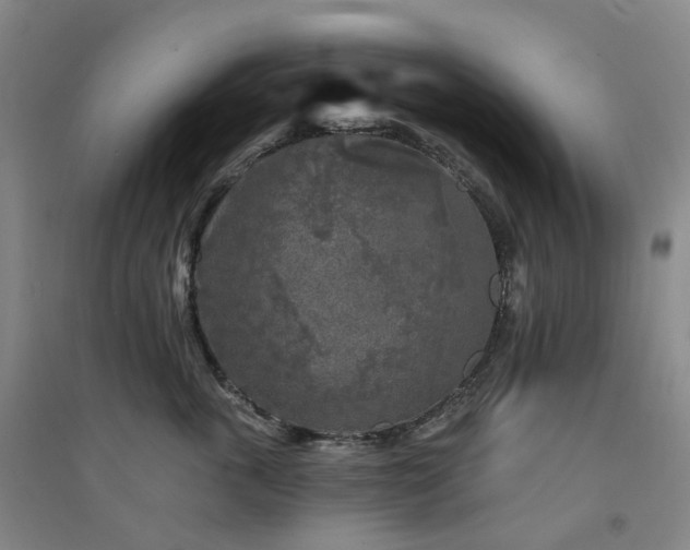 X0000094460763200711151450