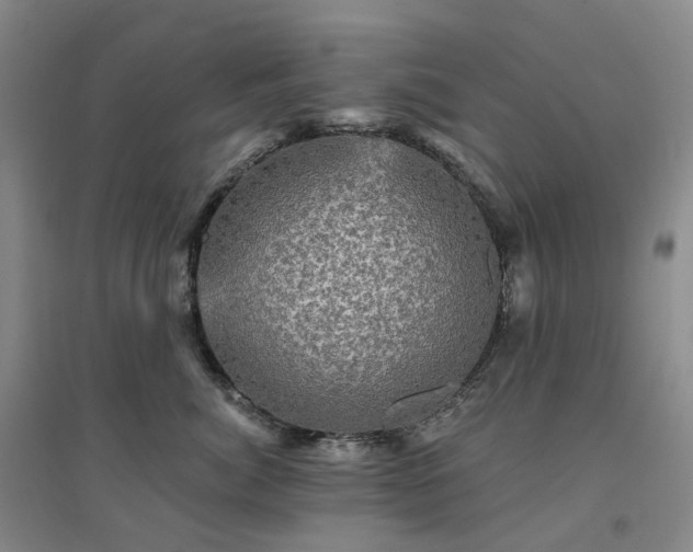 X0000094460764200711151450