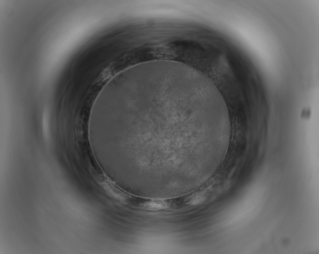 X0000094460765200711151450