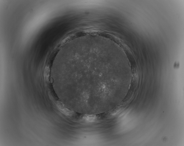 X0000094460767200711151450