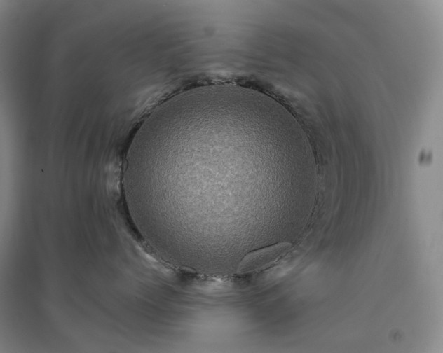 X0000094460768200711151450