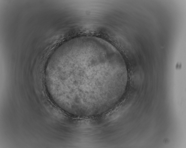 X0000094460769200711151449