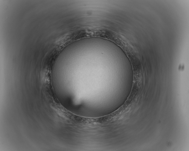 X0000094460770200711151449