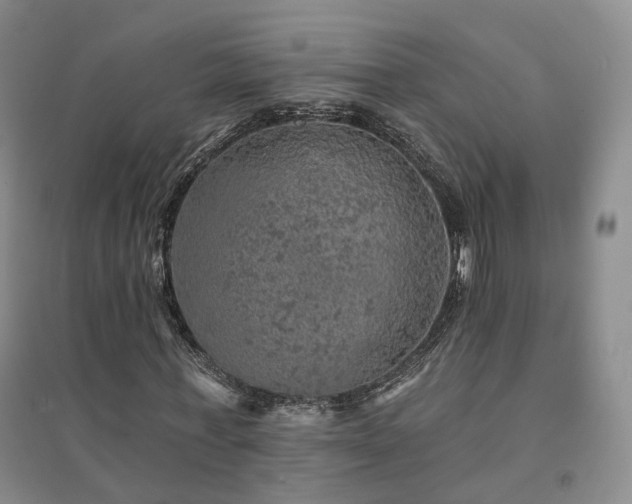 X0000094460771200711151449