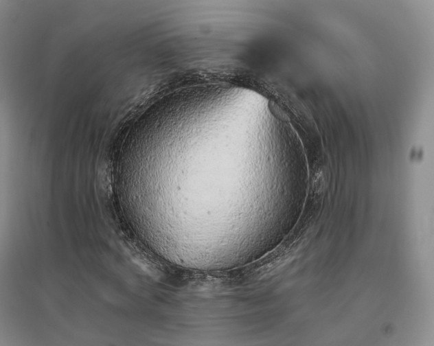 X0000094460772200711151449