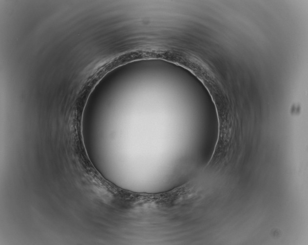 X0000094460773200711151449