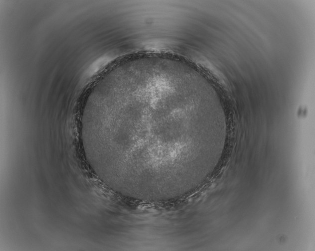 X0000094460776200711151449
