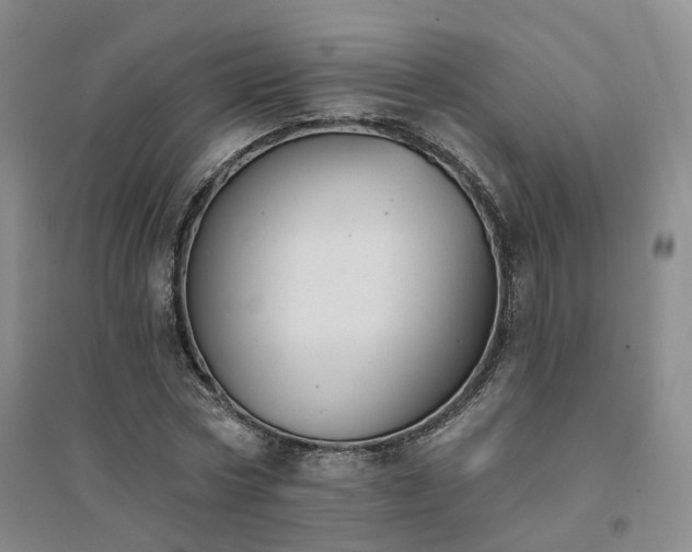 X0000094460778200711151449