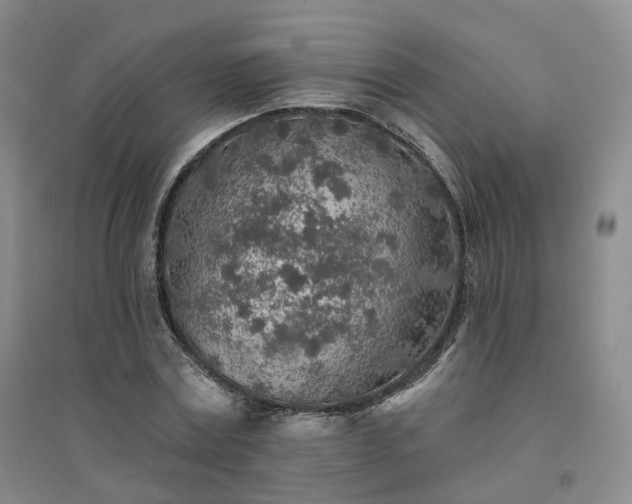 X0000094460779200711151449