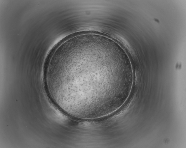 X0000094460780200711151449