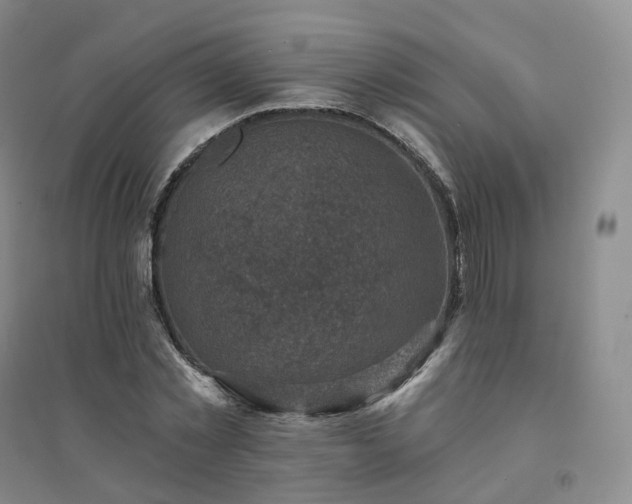 X0000094460781200711151448
