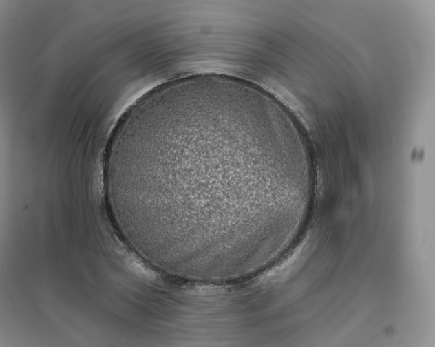 X0000094460782200711151448