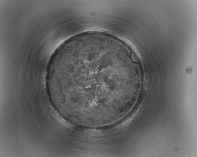 X0000094460783200711151448