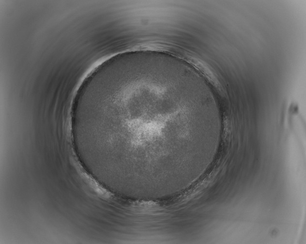 X0000094460784200711151448