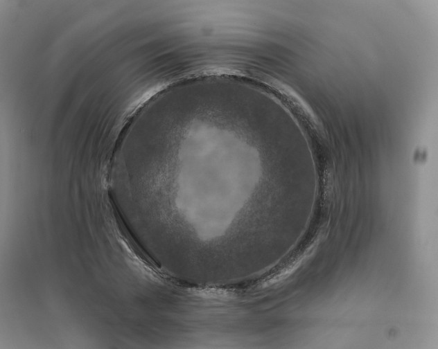 X0000094460785200711151448