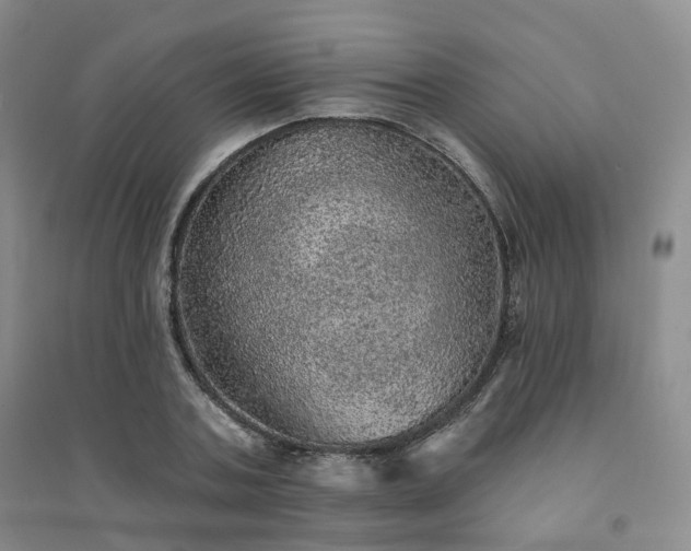 X0000094460787200711151448