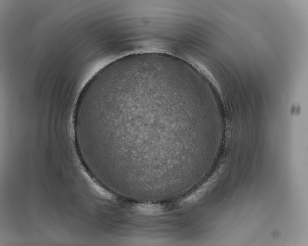 X0000094460789200711151448