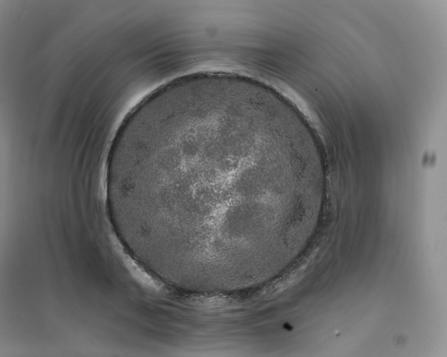 X0000094460791200711151448