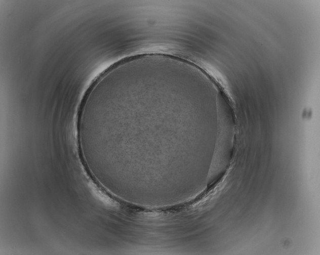 X0000094460792200711151448