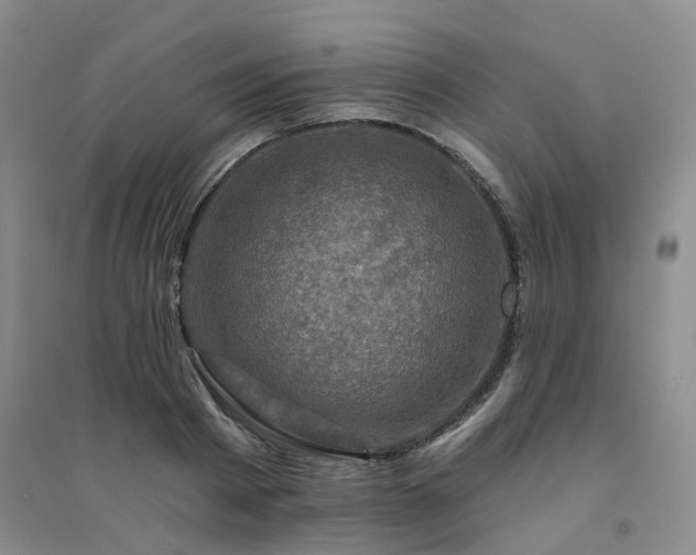 X0000094460793200711151448
