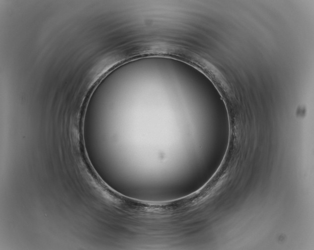 X0000094460794200711151448