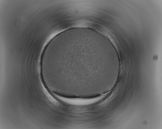 X0000094460795200711151448