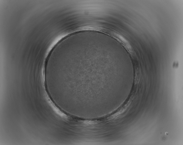 X0000094460796200711151448