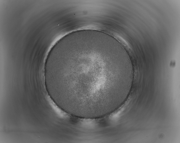 X0000094460800200711151448