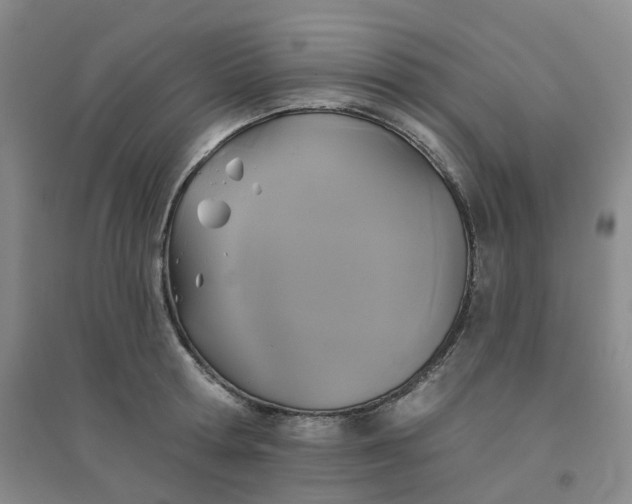 X0000094460802200711151448