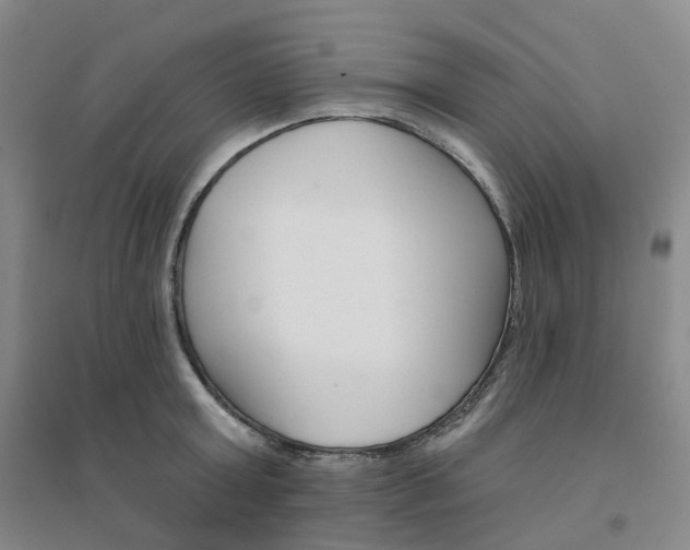 X0000094460803200711151448
