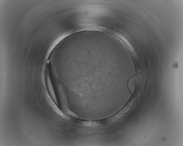 X0000094460804200711151448