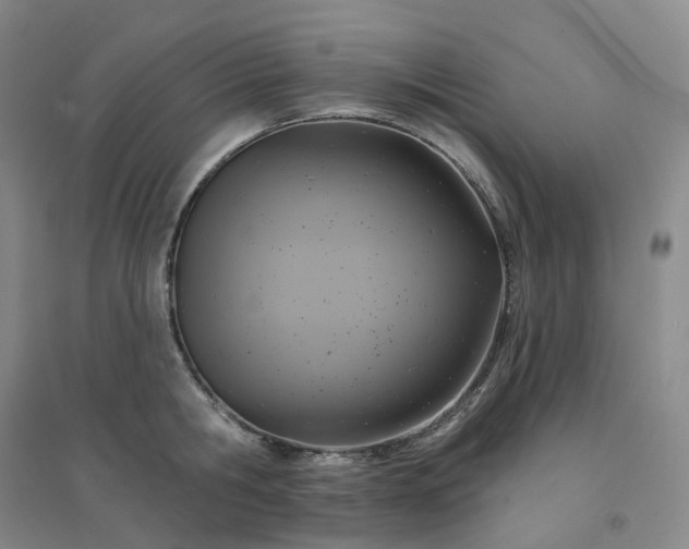 X0000094460806200711151448