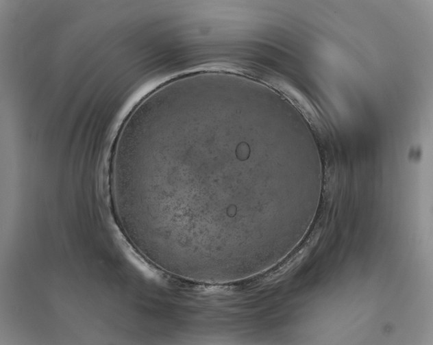 X0000094460808200711151448