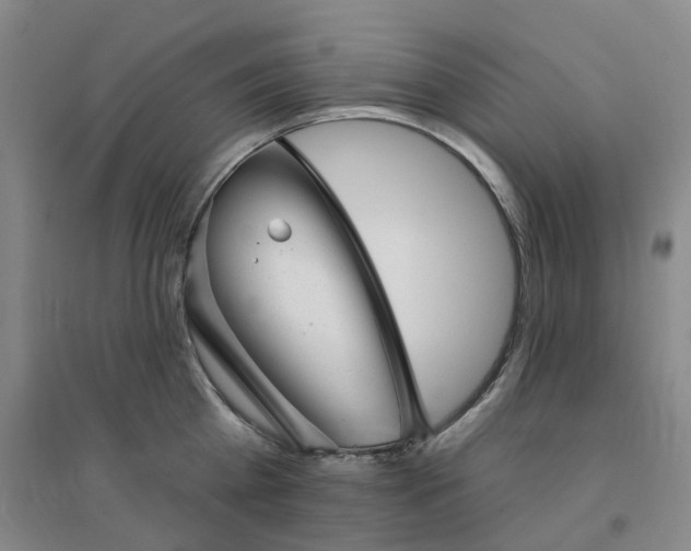 X0000094460809200711151448