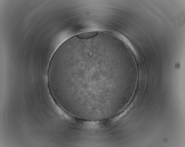 X0000094460810200711151448