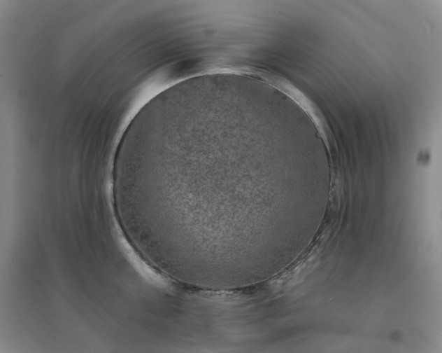 X0000094460811200711151448