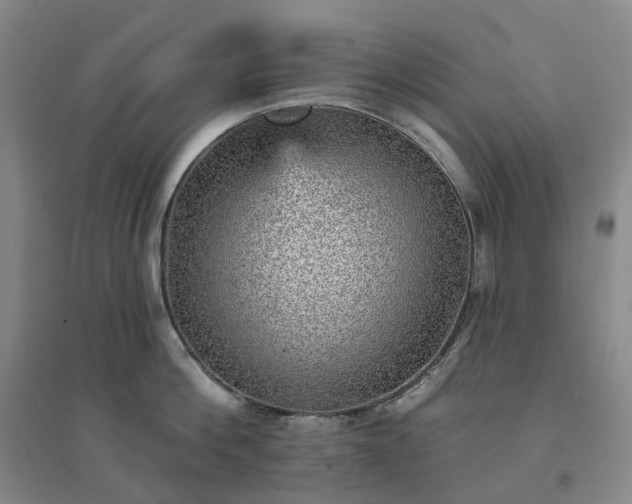 X0000094460812200711151448