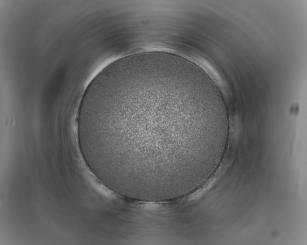 X0000094460814200711151448