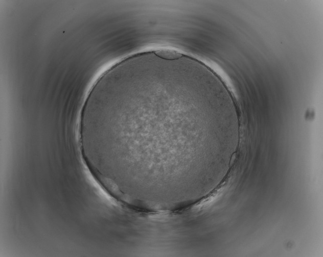 X0000094460815200711151448