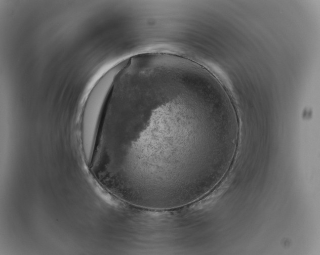 X0000094460816200711151448