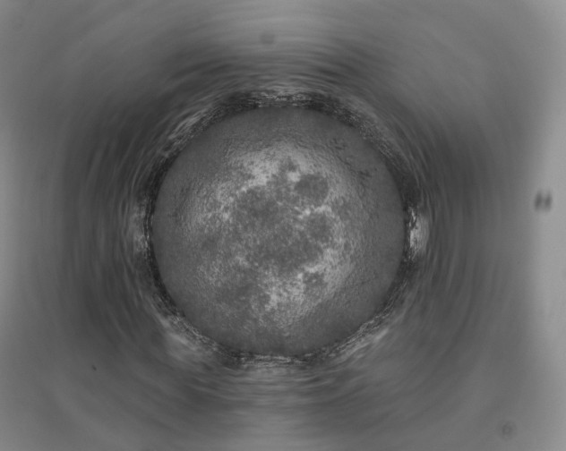 X0000094460819200711151447