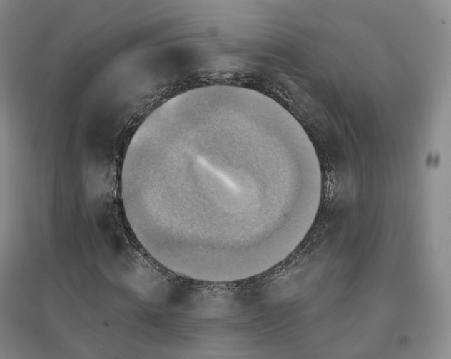 X0000094460820200711151447