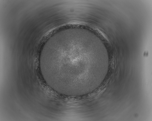 X0000094460821200711151447